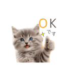 毎日のふわふわ子猫【日常・敬語】（個別スタンプ：26）
