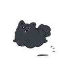 様子のおかしい黒ポメ（個別スタンプ：1）