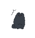 様子のおかしい黒ポメ（個別スタンプ：13）