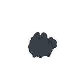 様子のおかしい黒ポメ（個別スタンプ：23）