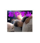 妄想爆撃サークル1（個別スタンプ：23）