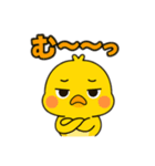ぴよぴよひよこの日常スタンプ（個別スタンプ：13）