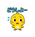 ぴよぴよひよこの日常スタンプ（個別スタンプ：15）
