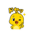 ぴよぴよひよこの日常スタンプ（個別スタンプ：20）