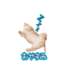 ばんちゃん！（個別スタンプ：2）