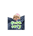 ばんちゃん！（個別スタンプ：5）