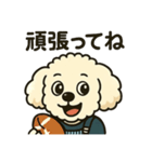 タイニープードルのメッちゃん（個別スタンプ：12）