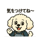 タイニープードルのメッちゃん（個別スタンプ：15）
