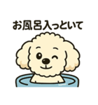 タイニープードルのメッちゃん（個別スタンプ：16）