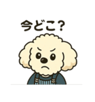 タイニープードルのメッちゃん（個別スタンプ：21）