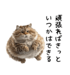おデブ猫の現実逃避[やる気ない・言い訳]（個別スタンプ：5）