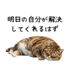 おデブ猫の現実逃避[やる気ない・言い訳]（個別スタンプ：7）