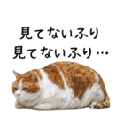 おデブ猫の現実逃避[やる気ない・言い訳]（個別スタンプ：9）