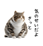 おデブ猫の現実逃避[やる気ない・言い訳]（個別スタンプ：11）
