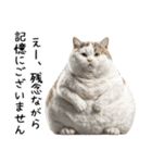 おデブ猫の現実逃避[やる気ない・言い訳]（個別スタンプ：13）