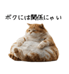 おデブ猫の現実逃避[やる気ない・言い訳]（個別スタンプ：16）