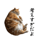 おデブ猫の現実逃避[やる気ない・言い訳]（個別スタンプ：17）