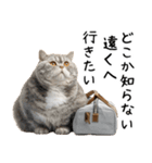 おデブ猫の現実逃避[やる気ない・言い訳]（個別スタンプ：18）