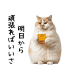 おデブ猫の現実逃避[やる気ない・言い訳]（個別スタンプ：19）