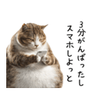 おデブ猫の現実逃避[やる気ない・言い訳]（個別スタンプ：25）