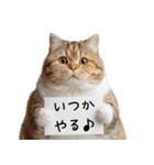 おデブ猫の現実逃避[やる気ない・言い訳]（個別スタンプ：29）