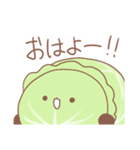 ローラーキャベツ（個別スタンプ：14）