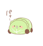 ローラーキャベツ（個別スタンプ：16）