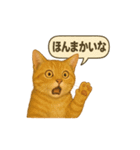 茶トラの喋る関西弁よく使う（個別スタンプ：2）