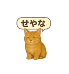茶トラの喋る関西弁よく使う（個別スタンプ：3）