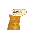 茶トラの喋る関西弁よく使う（個別スタンプ：4）
