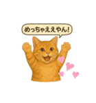 茶トラの喋る関西弁よく使う（個別スタンプ：5）