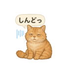 茶トラの喋る関西弁よく使う（個別スタンプ：7）