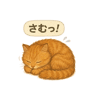 茶トラの喋る関西弁よく使う（個別スタンプ：8）