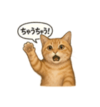 茶トラの喋る関西弁よく使う（個別スタンプ：11）
