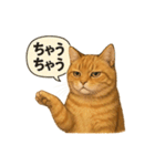 茶トラの喋る関西弁よく使う（個別スタンプ：16）
