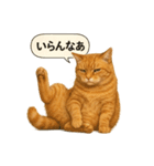 茶トラの喋る関西弁よく使う（個別スタンプ：18）