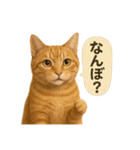 茶トラの喋る関西弁よく使う（個別スタンプ：22）