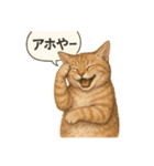 茶トラの喋る関西弁よく使う（個別スタンプ：23）