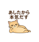 しっぽのつぶやき（個別スタンプ：12）