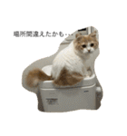凶暴なねこ（個別スタンプ：10）