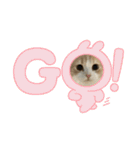 凶暴なねこ（個別スタンプ：16）