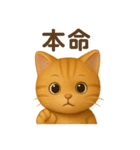 猫のとらた2（個別スタンプ：21）