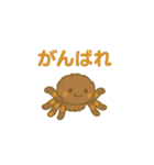 かわいいタランチュラ（イラスト）（個別スタンプ：5）