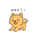 ノーリッチテリアくん（個別スタンプ：1）