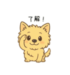 ノーリッチテリアくん（個別スタンプ：3）