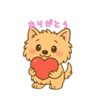 ノーリッチテリアくん（個別スタンプ：8）