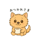 ノーリッチテリアくん（個別スタンプ：10）