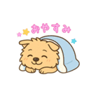 ノーリッチテリアくん（個別スタンプ：13）