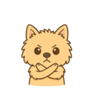 ノーリッチテリアくん（個別スタンプ：15）