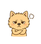 ノーリッチテリアくん（個別スタンプ：16）